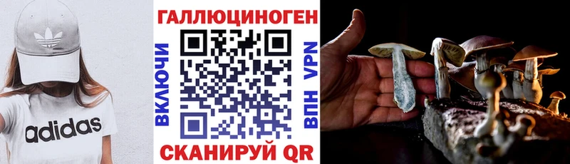 Галлюциногенные грибы прущие грибы  площадка клад  Похвистнево 